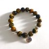 tigers-eye-om2