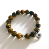 tigers-eye-om3